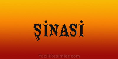 ŞİNASİ