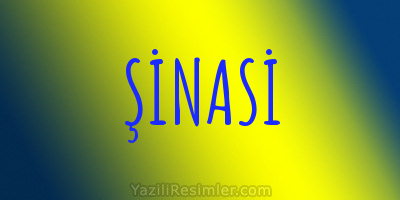 ŞİNASİ