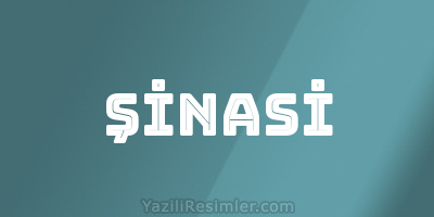 ŞİNASİ