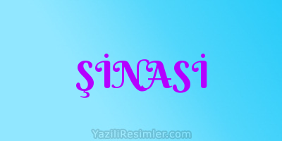 ŞİNASİ