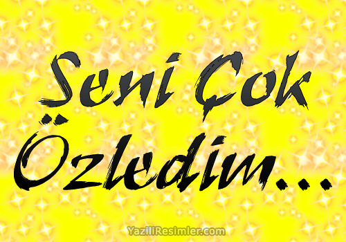 Seni Çok Özledim