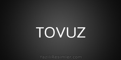 TOVUZ