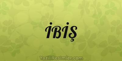 İBİŞ