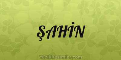 ŞAHİN