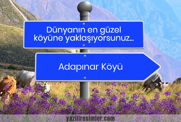 Adapınar Köyü