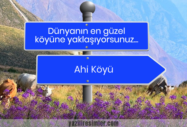 Ahi Köyü