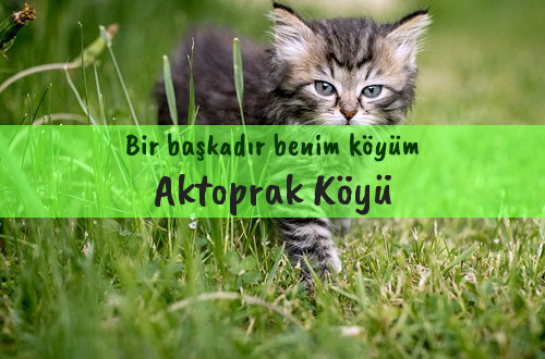 Aktoprak Köyü