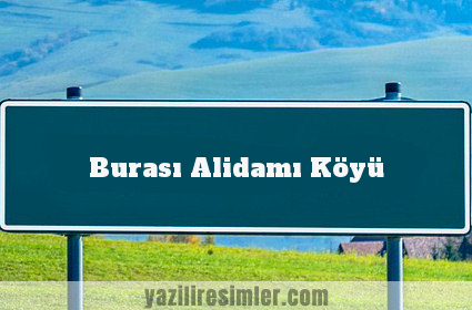 Burası Alidamı Köyü