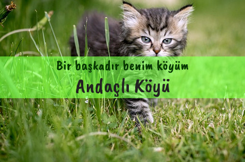 Andaçlı Köyü