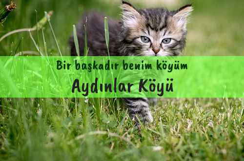 Aydınlar Köyü