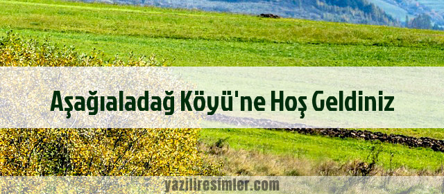 Aşağıaladağ Köyü'ne Hoş Geldiniz