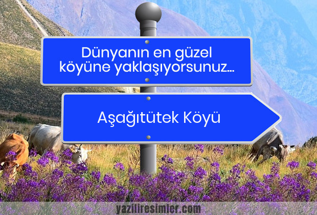 Aşağıtütek Köyü