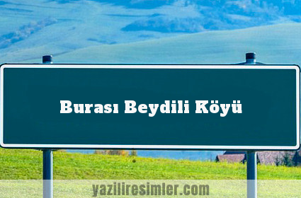 Burası Beydili Köyü