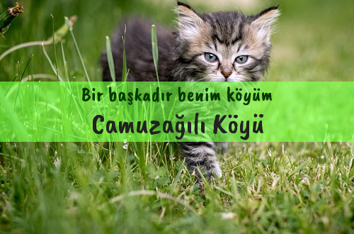 Camuzağılı Köyü