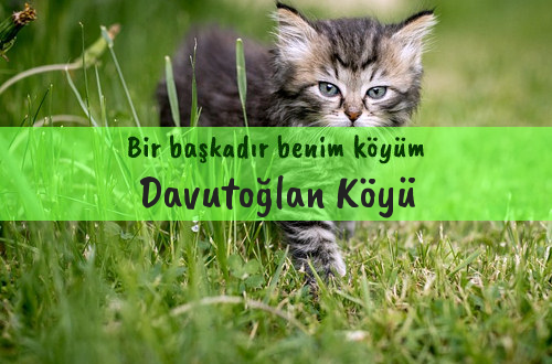 Davutoğlan Köyü