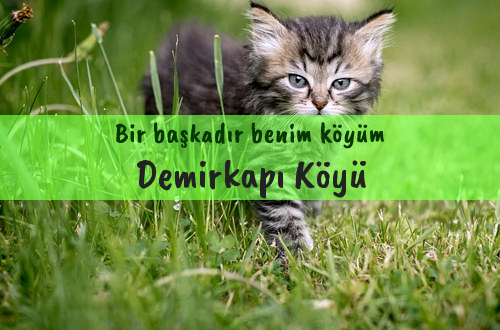 Demirkapı Köyü