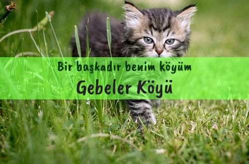 Gebeler Köyü