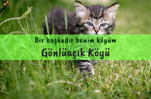 Gönlüaçık Köyü