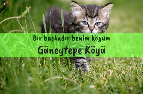 Güneytepe Köyü