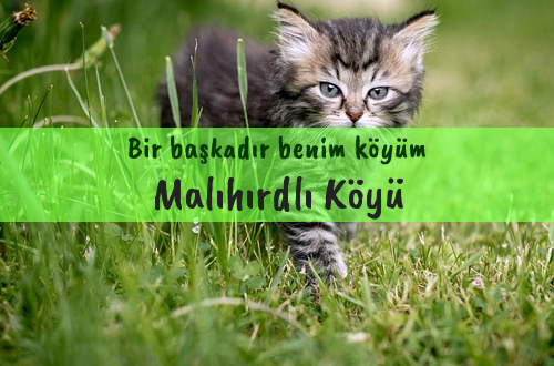 Malıhırdlı Köyü