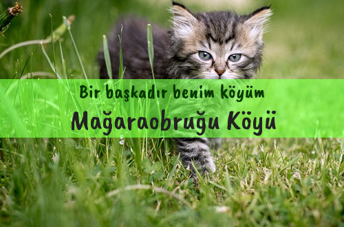 Mağaraobruğu Köyü