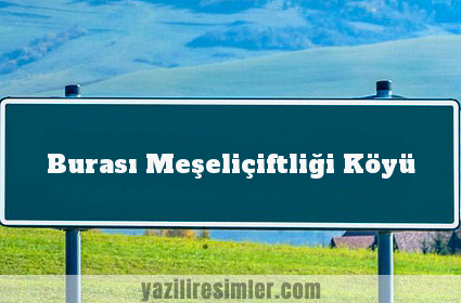 Burası Meşeliçiftliği Köyü