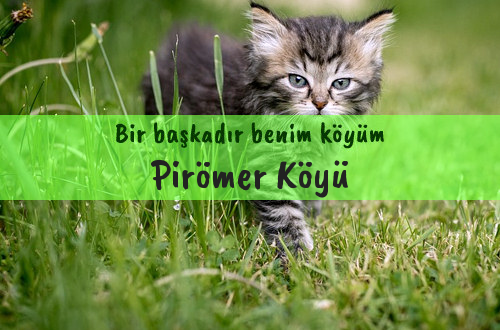 Pirömer Köyü