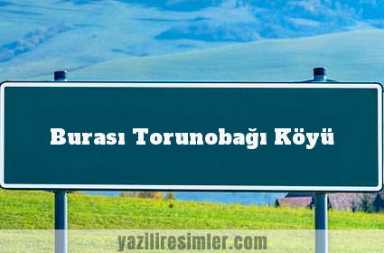 Burası Torunobağı Köyü