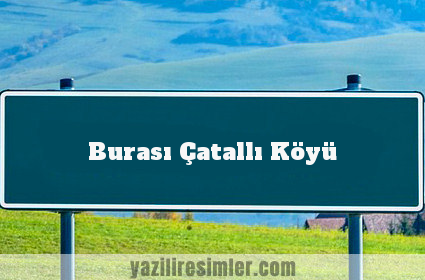 Burası Çatallı Köyü