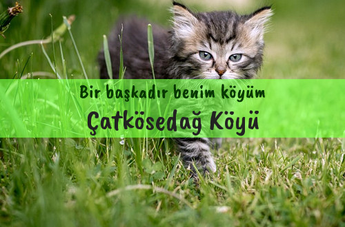 Çatkösedağ Köyü