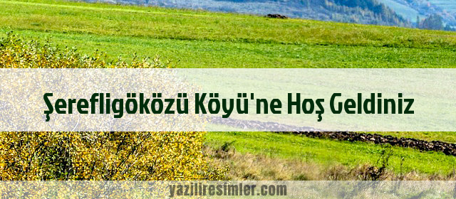 Şerefligöközü Köyü'ne Hoş Geldiniz