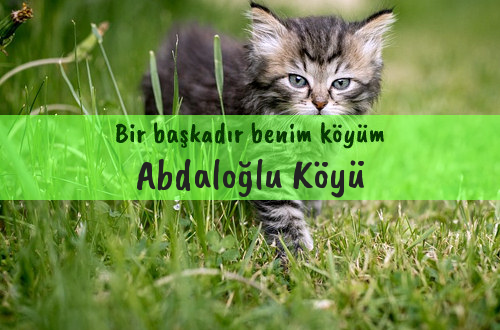 Abdaloğlu Köyü