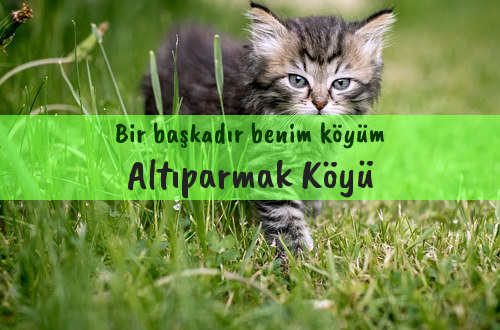 Altıparmak Köyü