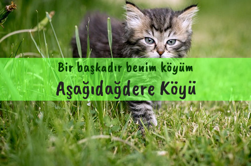 Aşağıdağdere Köyü