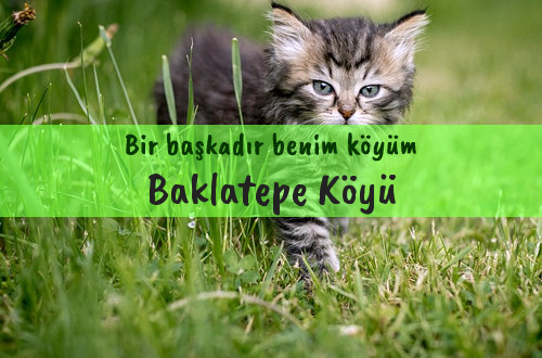 Baklatepe Köyü