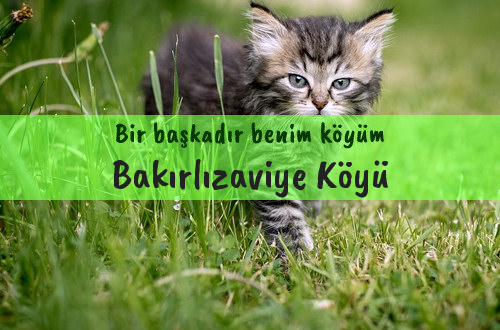 Bakırlızaviye Köyü