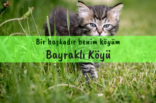 Bayraklı Köyü