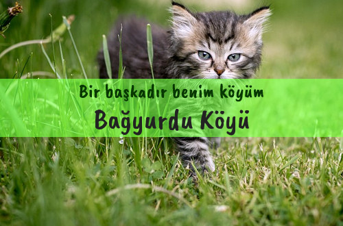 Bağyurdu Köyü