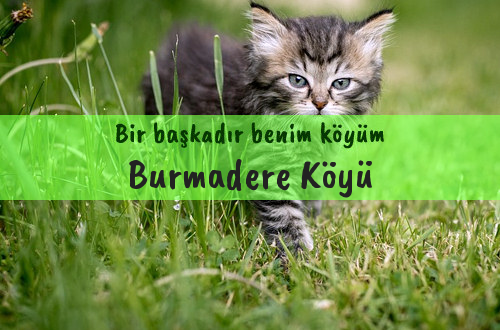 Burmadere Köyü