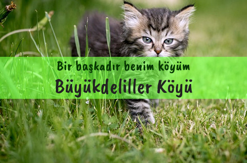 Büyükdeliller Köyü