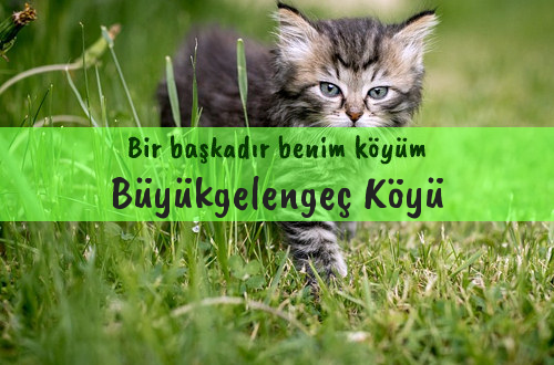 Büyükgelengeç Köyü