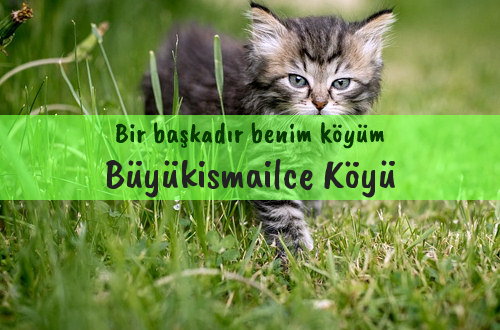 Büyükismailce Köyü