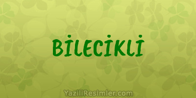 BİLECİKLİ