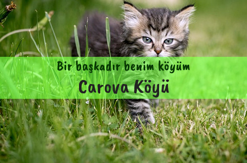 Carova Köyü