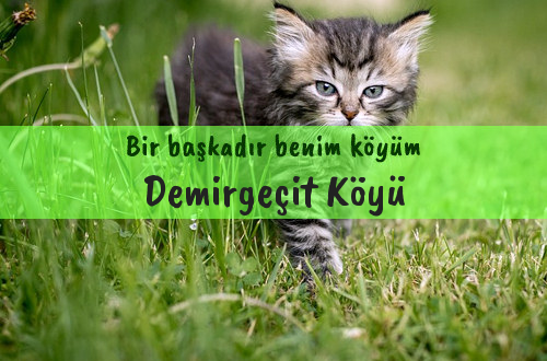 Demirgeçit Köyü