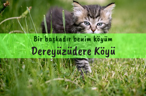 Dereyüzüdere Köyü