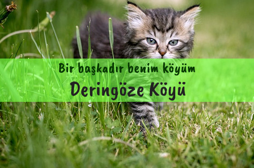 Deringöze Köyü