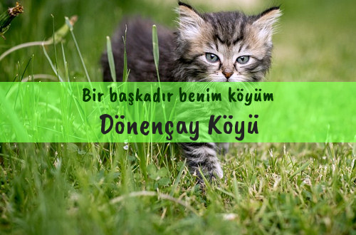 Dönençay Köyü