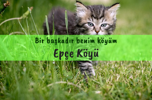 Epçe Köyü