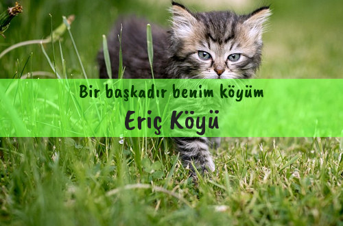 Eriç Köyü